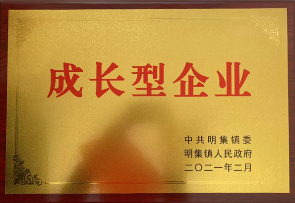 生长型企业